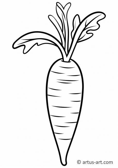 Carrot with Leaves Coloring Page